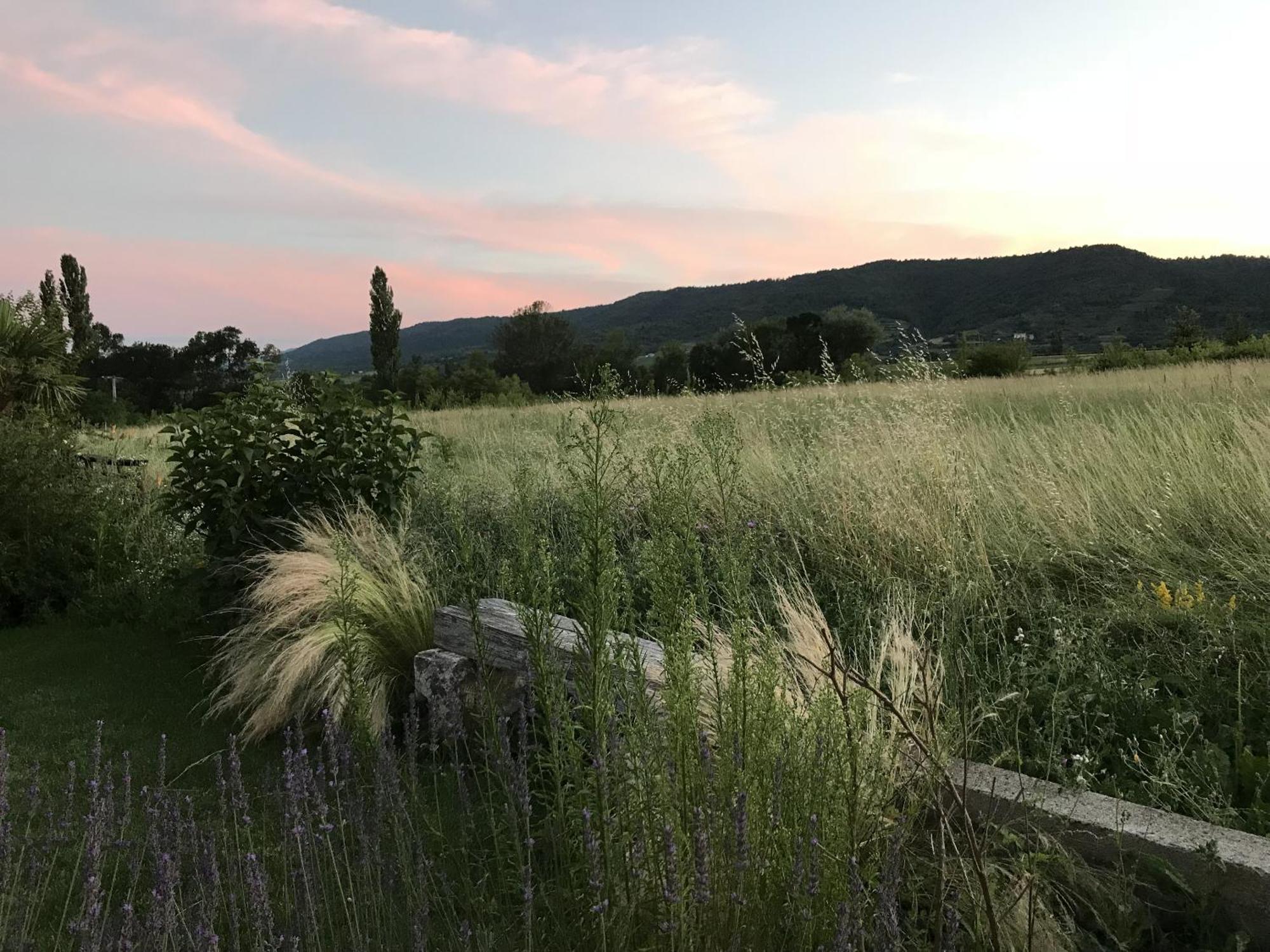 Gites La Musardiere Alba-la-Romaine Exterior foto